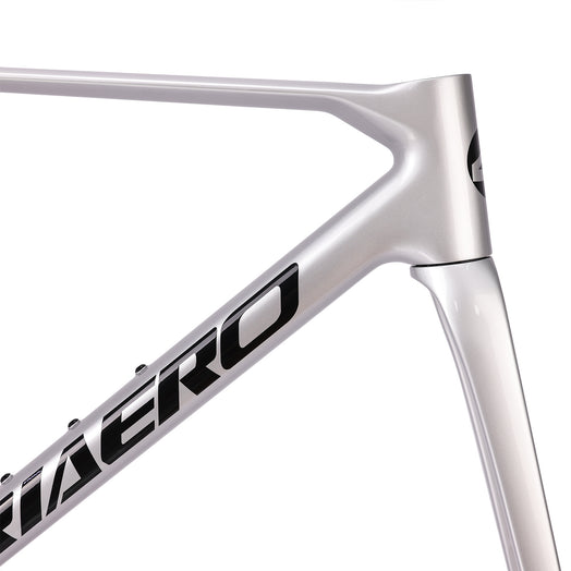ICAN Flyee road bike disc frame