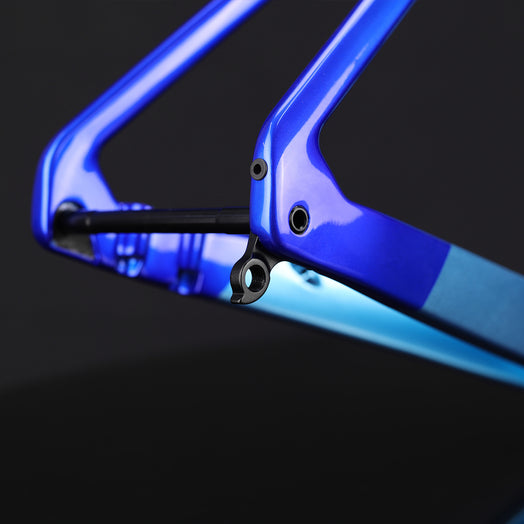 ICAN UCI road bike disc frame A9