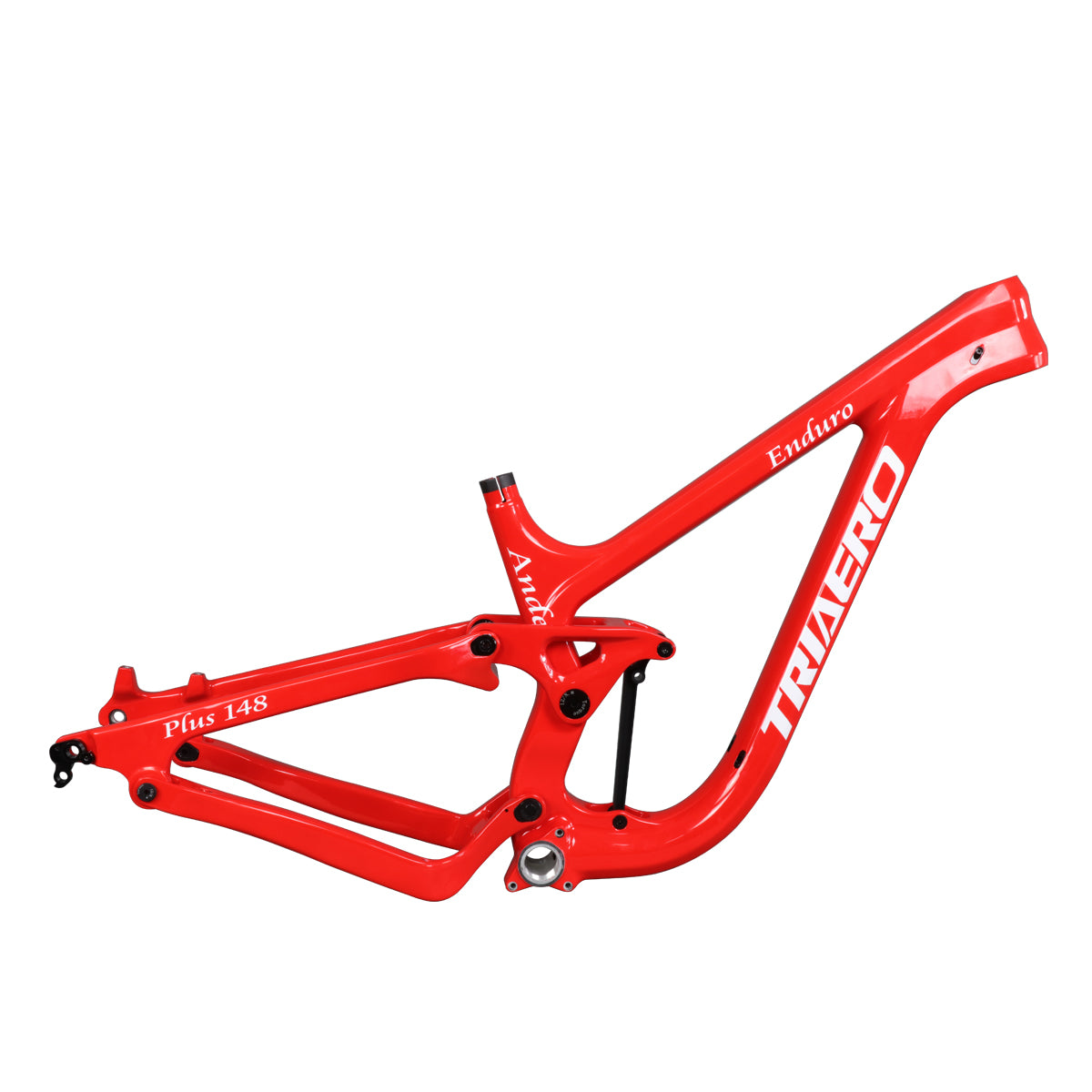 Available Painted Enduro MTB Frame P9