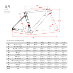 ICAN A9 Carbon Road Disc Bike Frameset Geometry